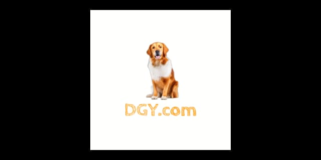 dgy.com logo